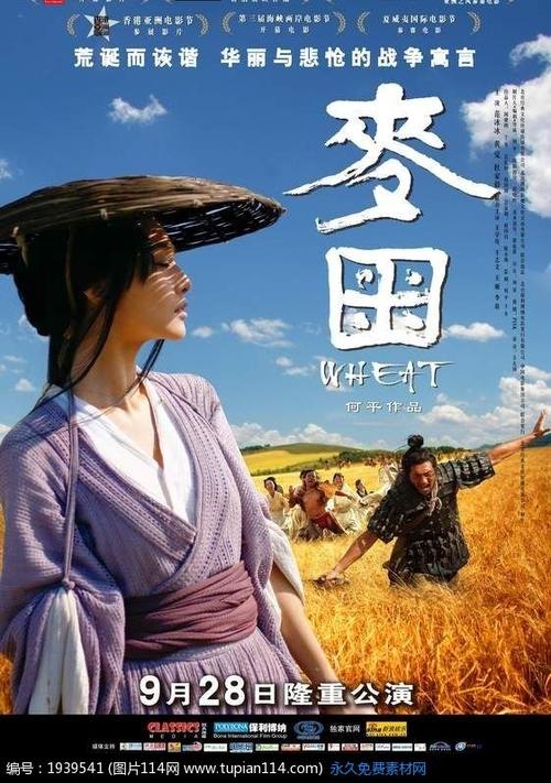 鎮西学院大学经济学文凭证书